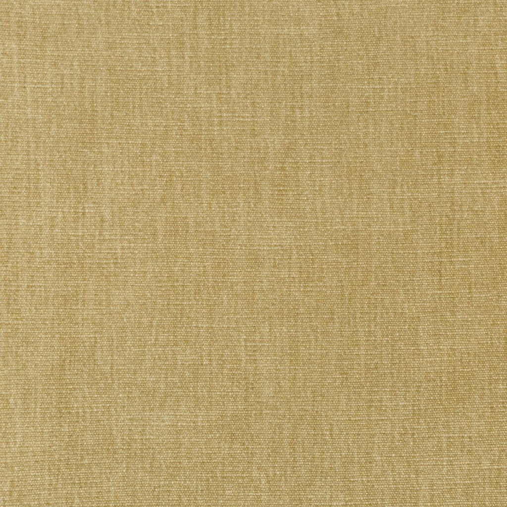 Kravet 36076 16 Fabric