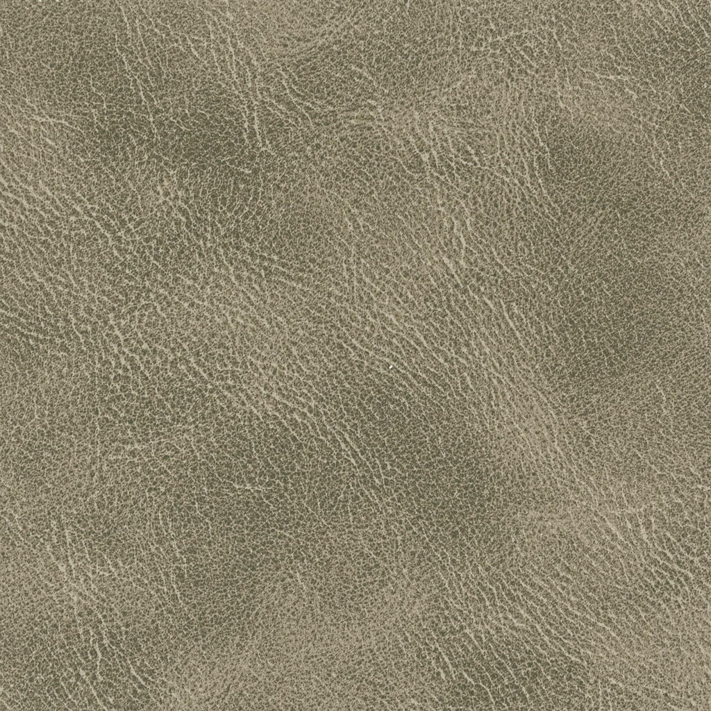 Stout RADNOR FLINT Fabric