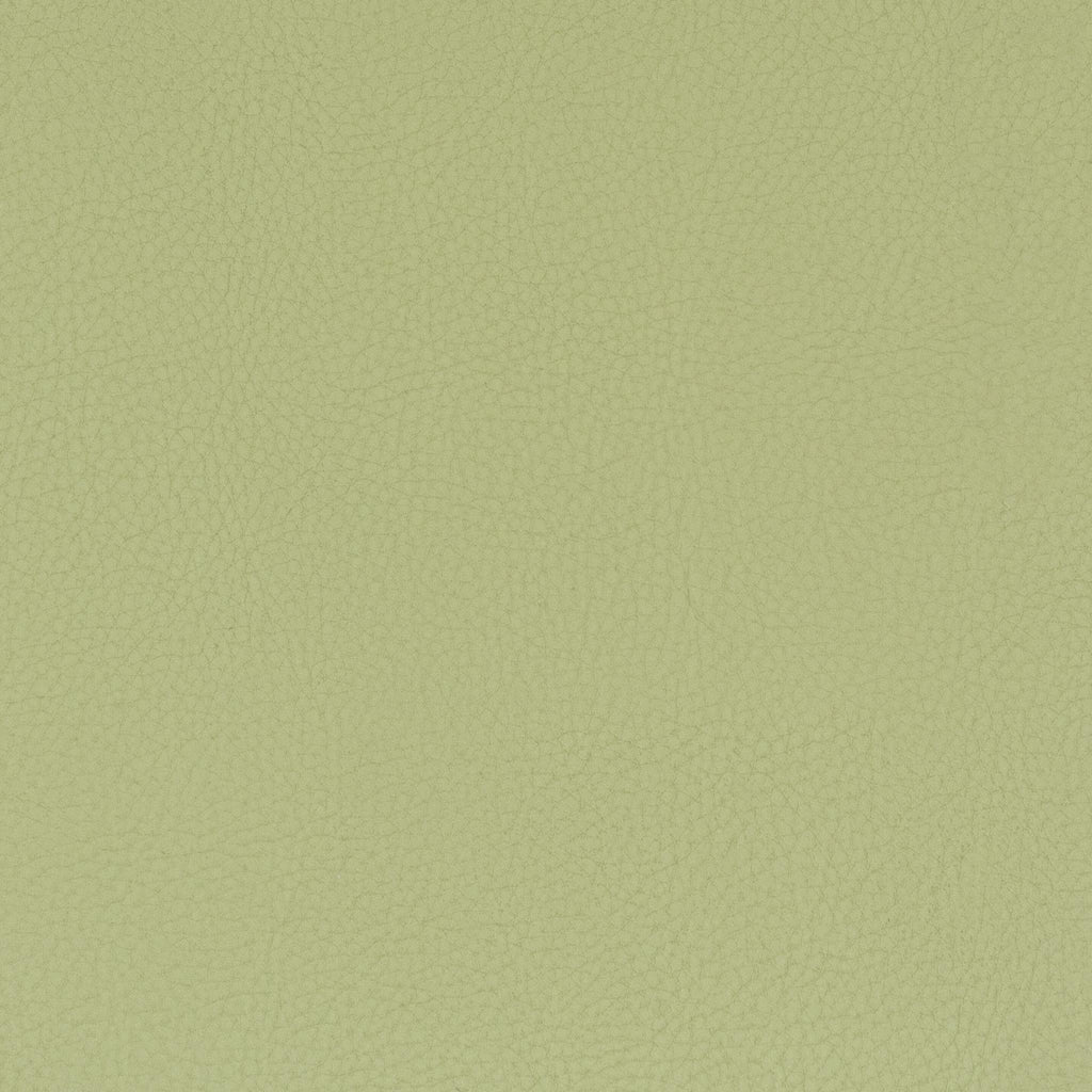 Stout CLASSIC PISTACHIO Fabric