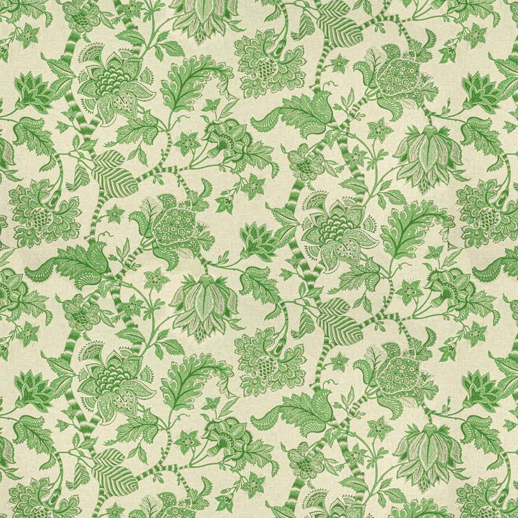 Stout BAYBERRY FERN Fabric