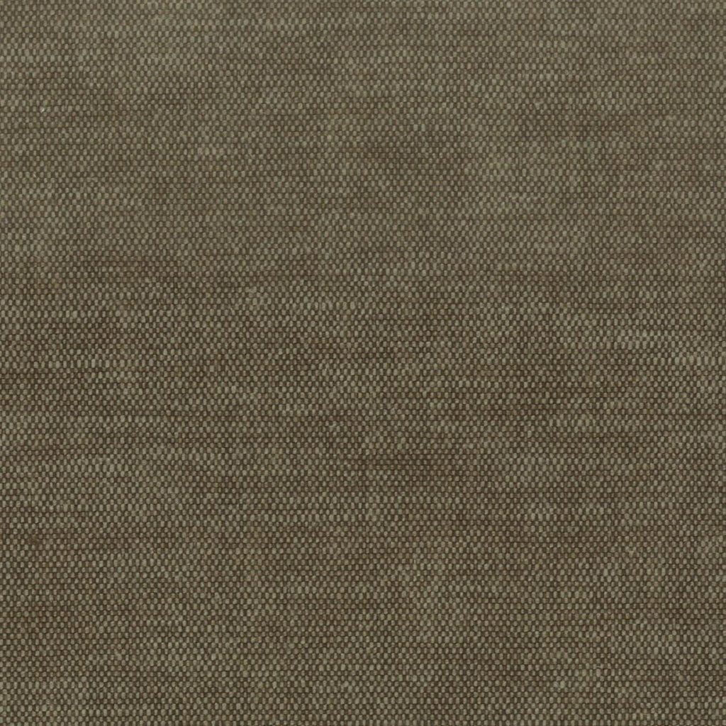 Stout ORWIN BRAN Fabric