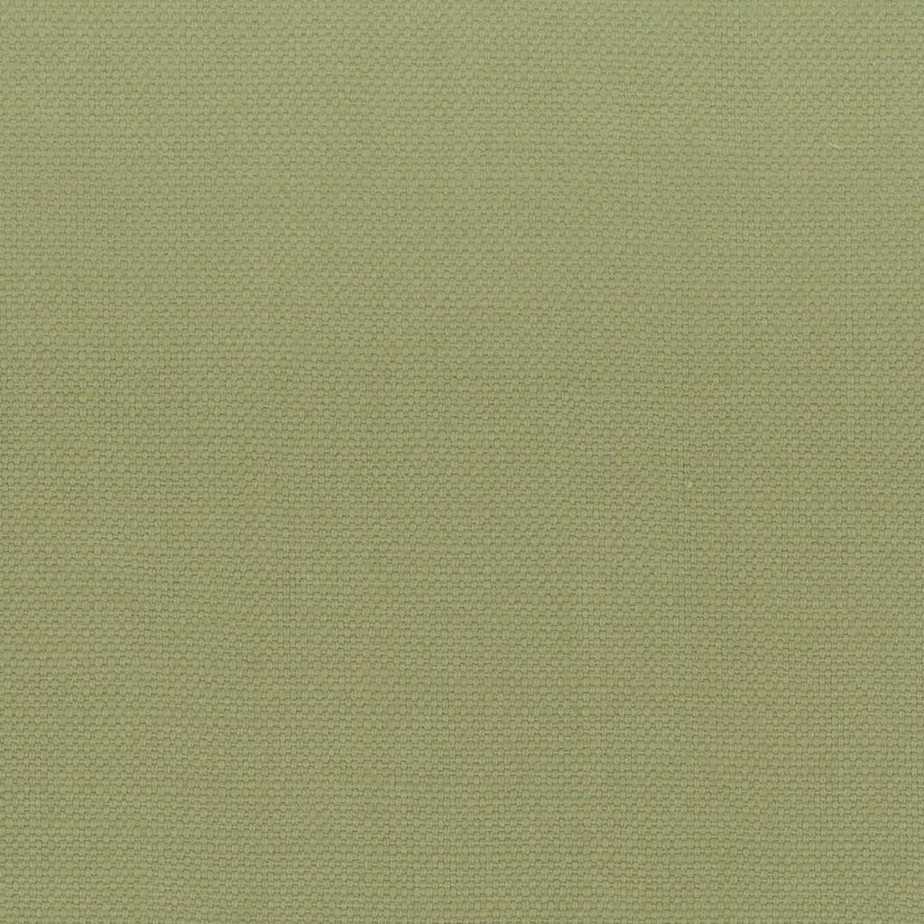 Stout STANFORD PISTACHIO Fabric