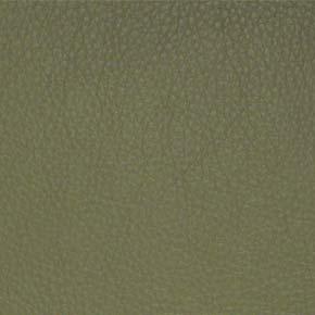 Maxwell CLASSIC(CONTRACT VINYL) #036 SAGE Fabric