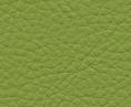 Maxwell CLASSIC(CONTRACT VINYL) #113 SCALLION Fabric