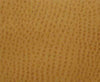 Maxwell Phoenix(Contract Vinyl) #009 Ochre Fabric