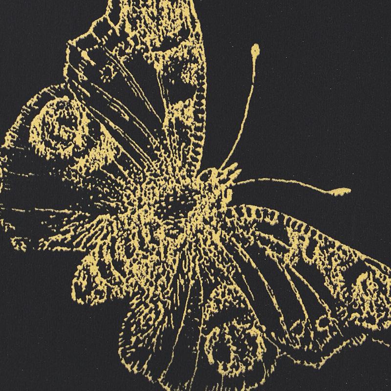 Schumacher Burnell Butterfly Black Wallpaper