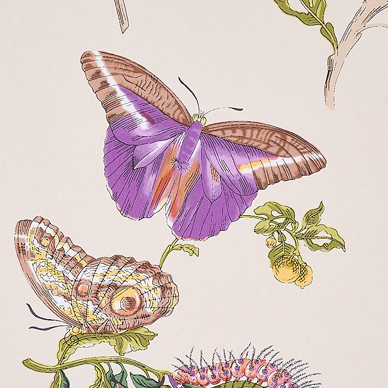 Schumacher Baudin Butterfly Purple Wallpaper