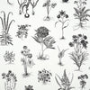 Schumacher Cabot Botanical Large Ivory Wallpaper