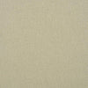 Schumacher Albert Performance Cotton Flax Fabric