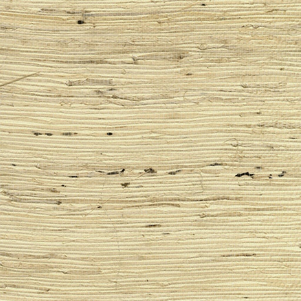 Brewster Home Fashions Tomur Grasscloth Beige Wallpaper