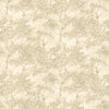 Brewster Home Fashions Brewster For Your Bath Iii 2704-65752 Celery Wallpaper