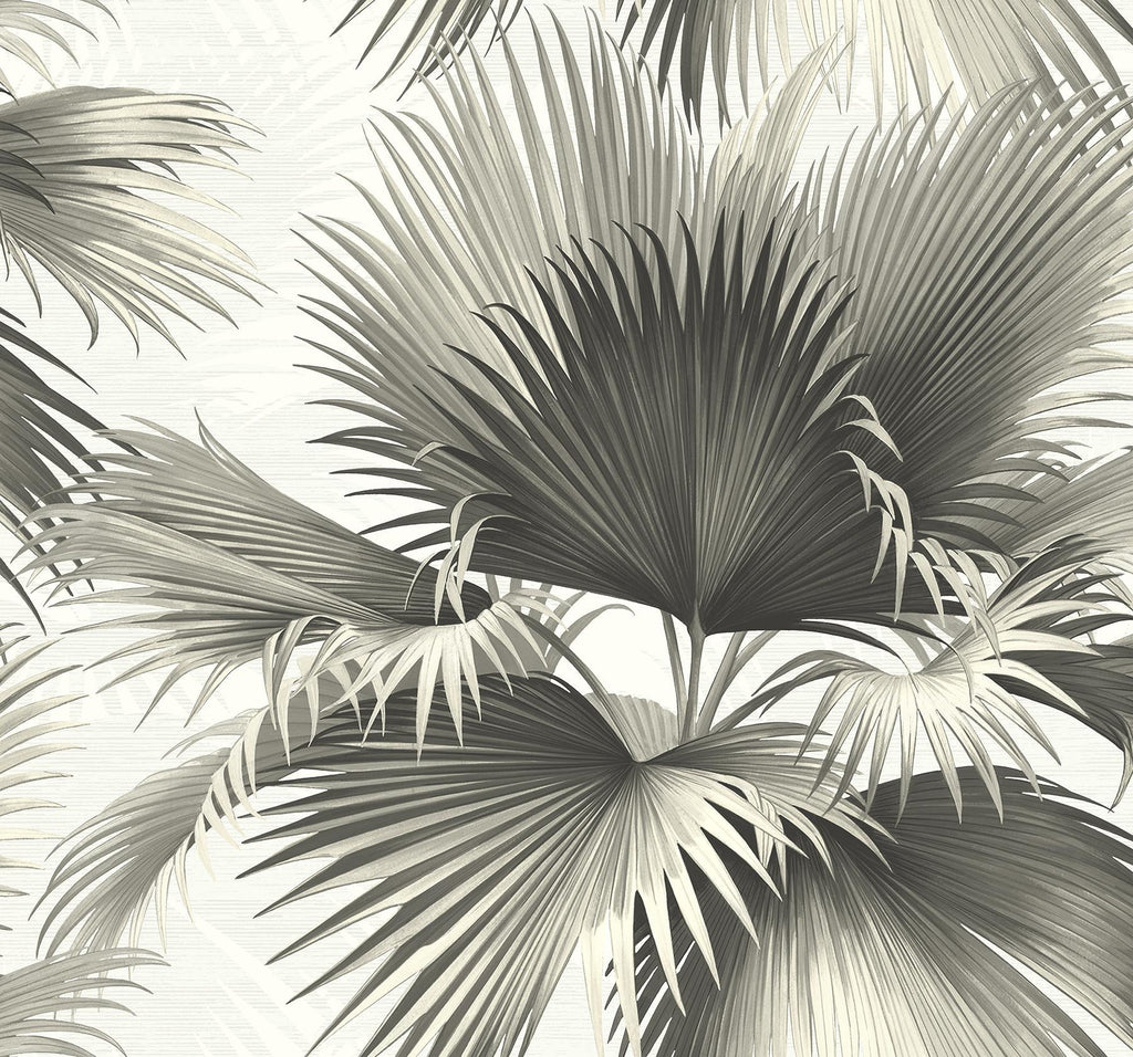 Brewster Home Fashions Endless Summer Black Palm Wallpaper