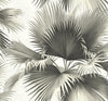 Brewster Home Fashions Endless Summer Black Palm Wallpaper