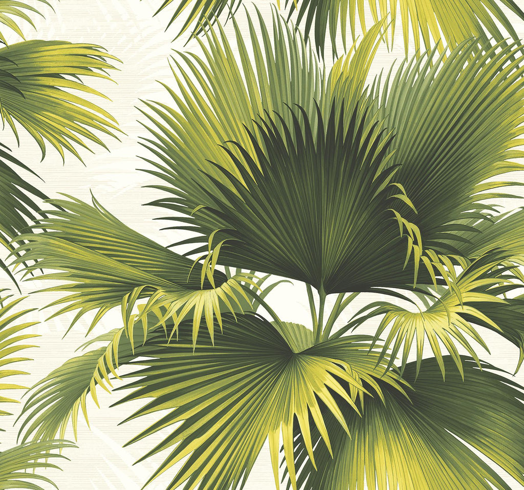 Brewster Home Fashions Endless Summer Green Palm Wallpaper