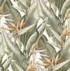 Brewster Home Fashions Arcadia Light Green Banana Leaf Wallpaper