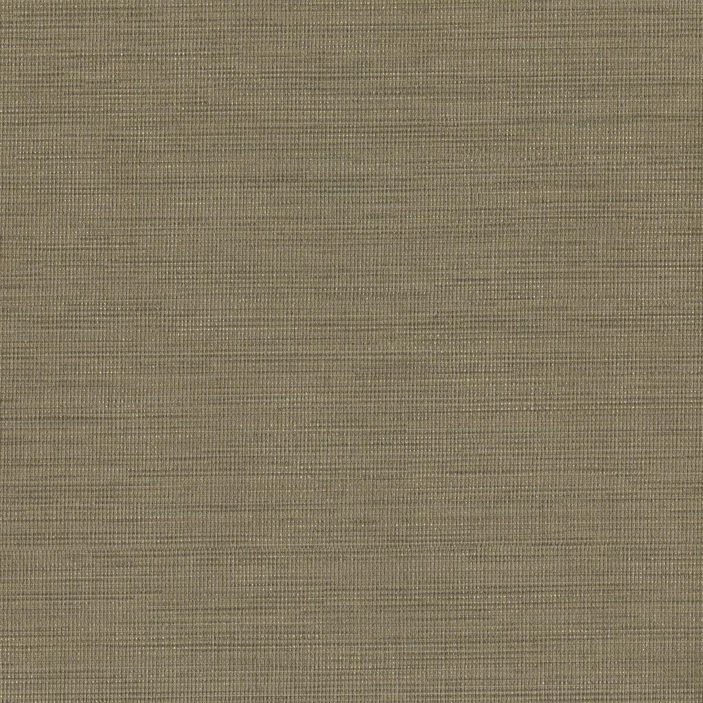 Brewster Home Fashions Warner Textures Warner Grasscloth Resource 2807-6069 Brown Wallpaper