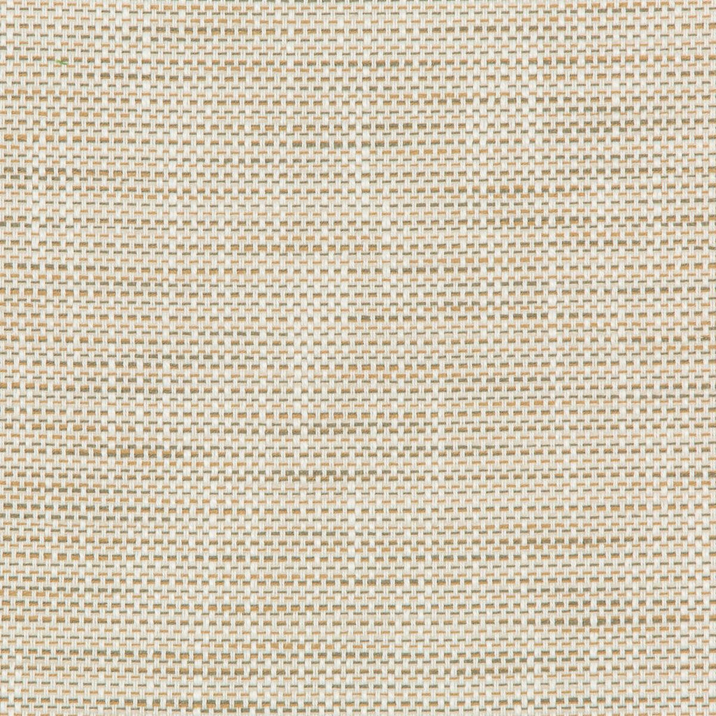 Kravet 36082 161 Fabric