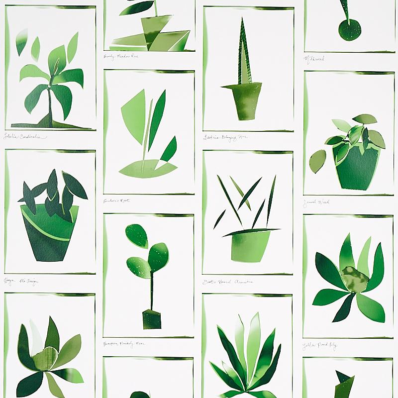 Schumacher Botanicals Greenhouse Wallpaper