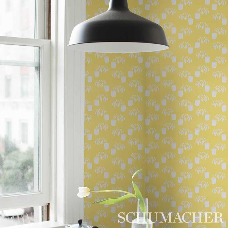 Schumacher Reaching Out Lemonade Wallpaper