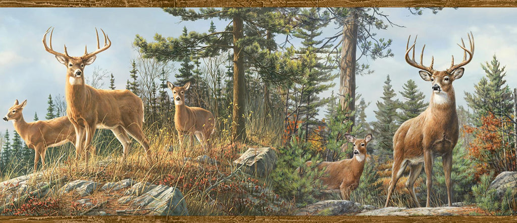 Brewster Home Fashions Whitetail Crest Forest Border Multicolor Wallpaper