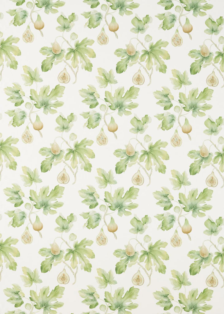 Sanderson Fig Harvest Garden Green Fabric