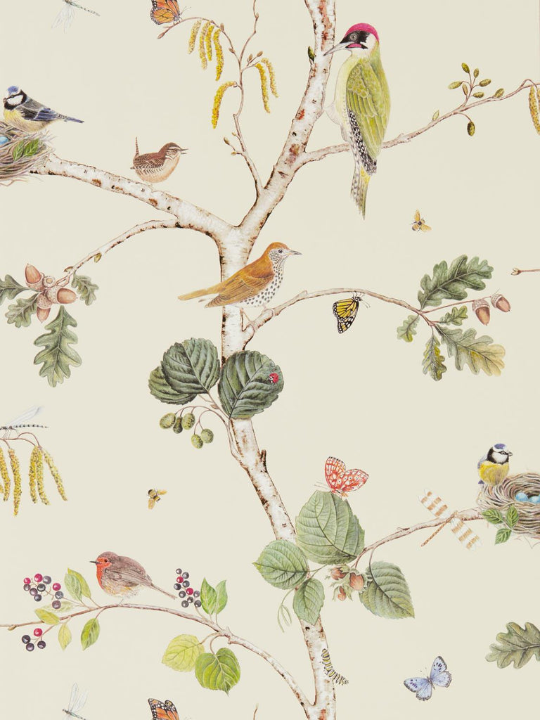 Sanderson Woodland Chorus Cream/Multi Wallpaper