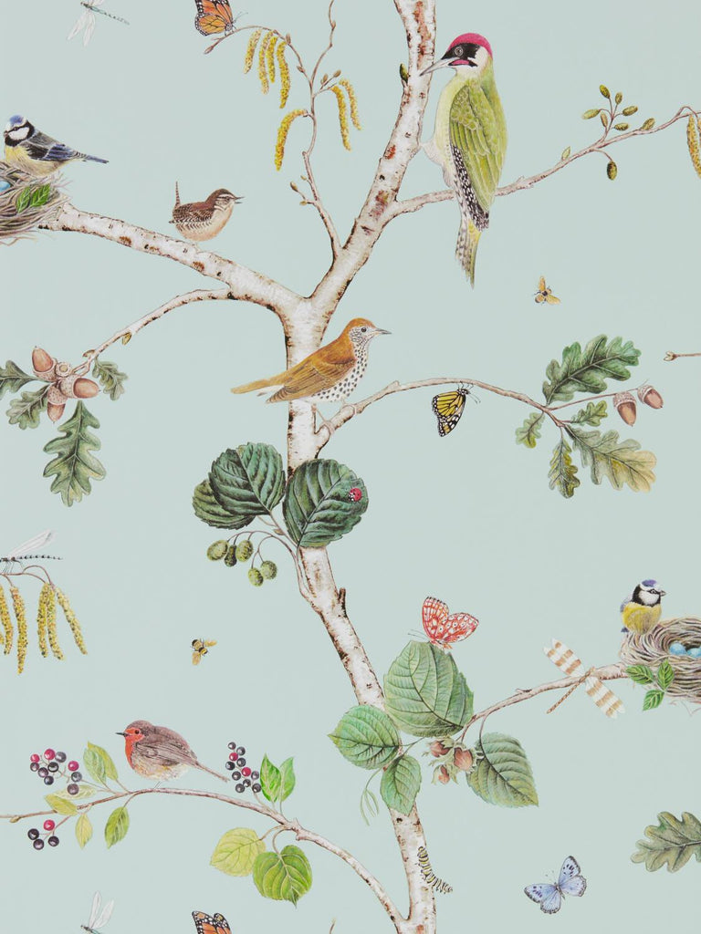 Sanderson Woodland Chorus Sky Blue/Multi Wallpaper