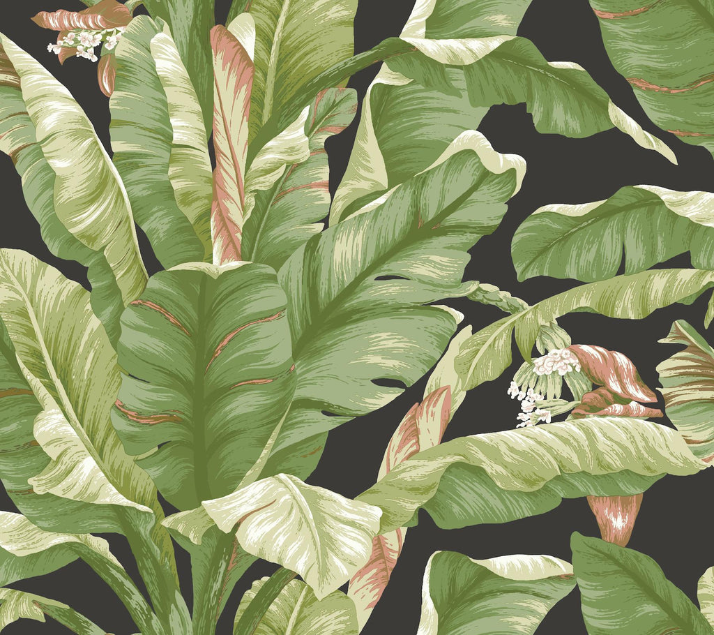 York Banana Leaf Peel and Stick Black/Green Wallpaper