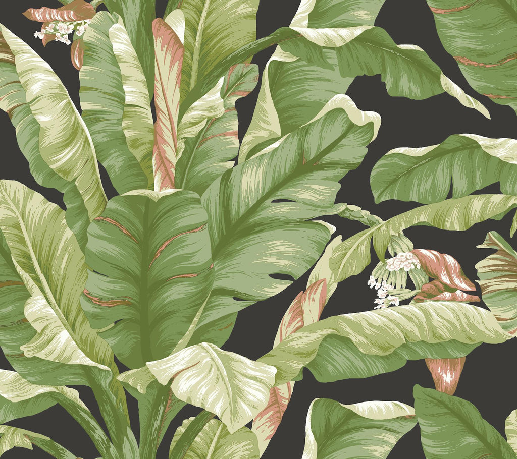 York Banana Leaf Peel and Stick Black/Green Wallpaper