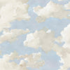 York Clouds On Canvas Peel And Stick Blue Wallpaper