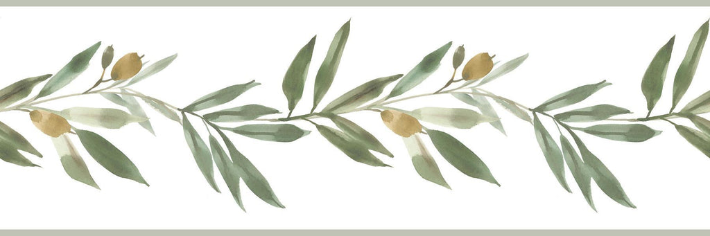 York Olive Branch Border Green Wallpaper