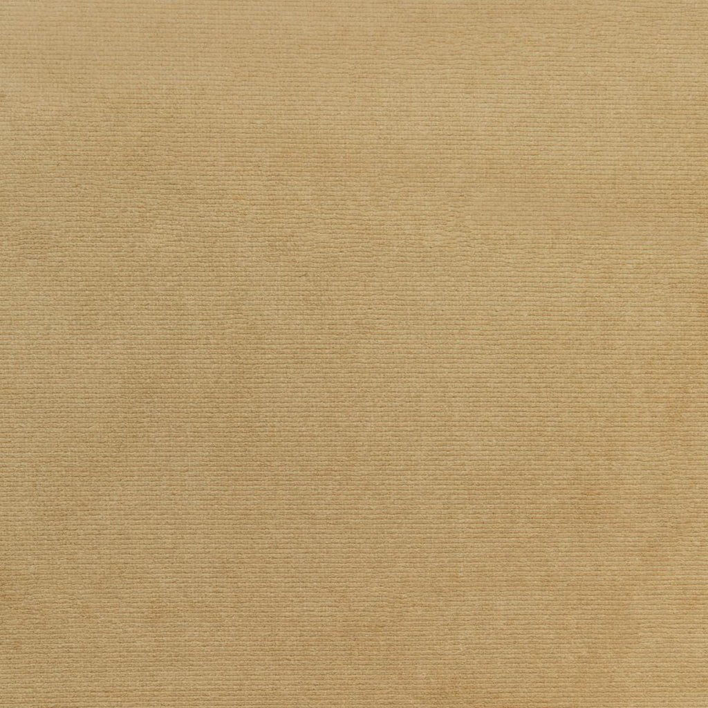 Kravet KRAVET SMART 36111-106 Fabric