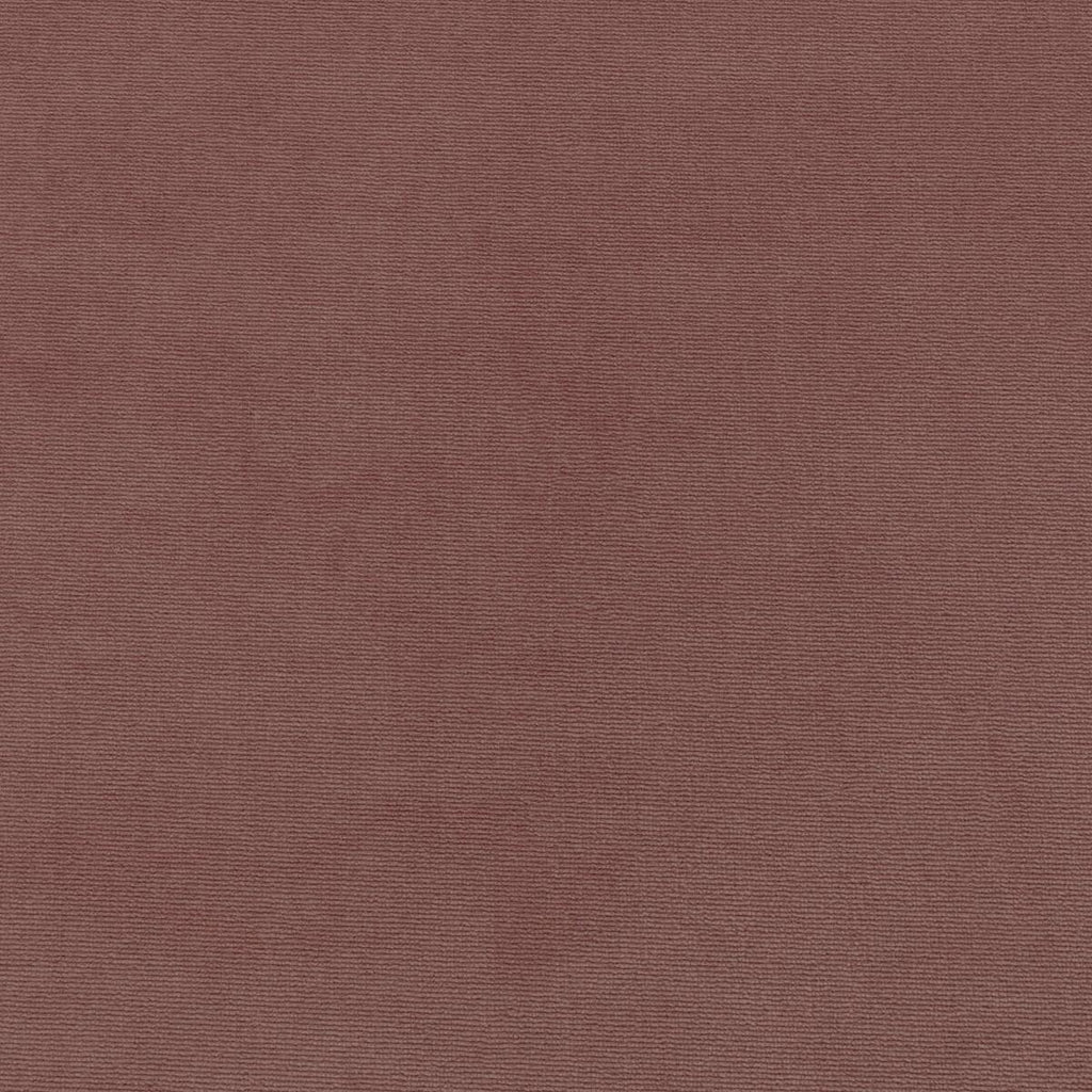 Kravet 36111 77 Fabric