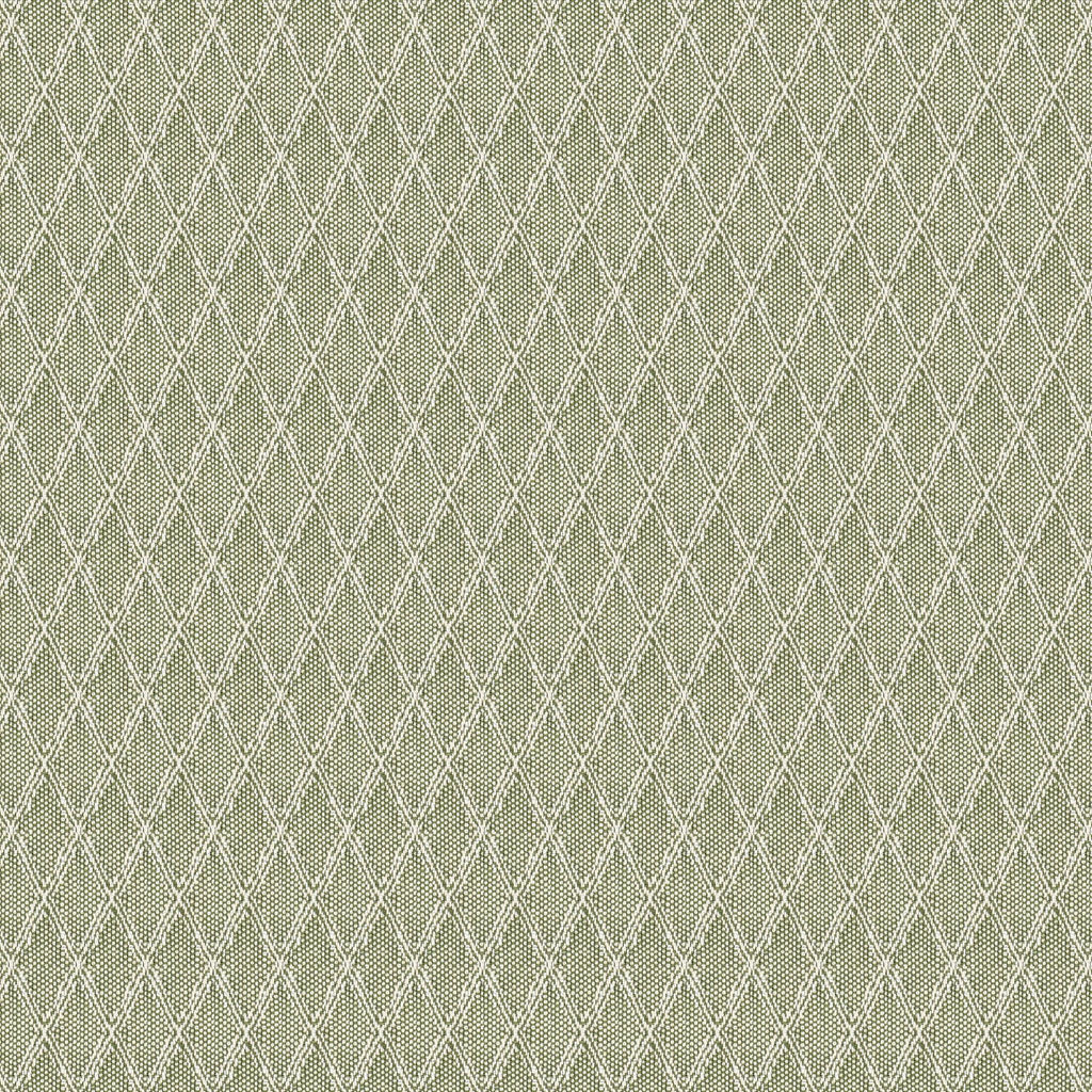 Stout WYNNEWOOD GRASS Fabric