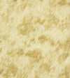 Brewster Home Fashions Brewster Selvaggia 2871-88743 Gold Wallpaper