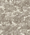 Brewster Home Fashions Chesapeake Sage Hill 3112-002719 Brown Wallpaper