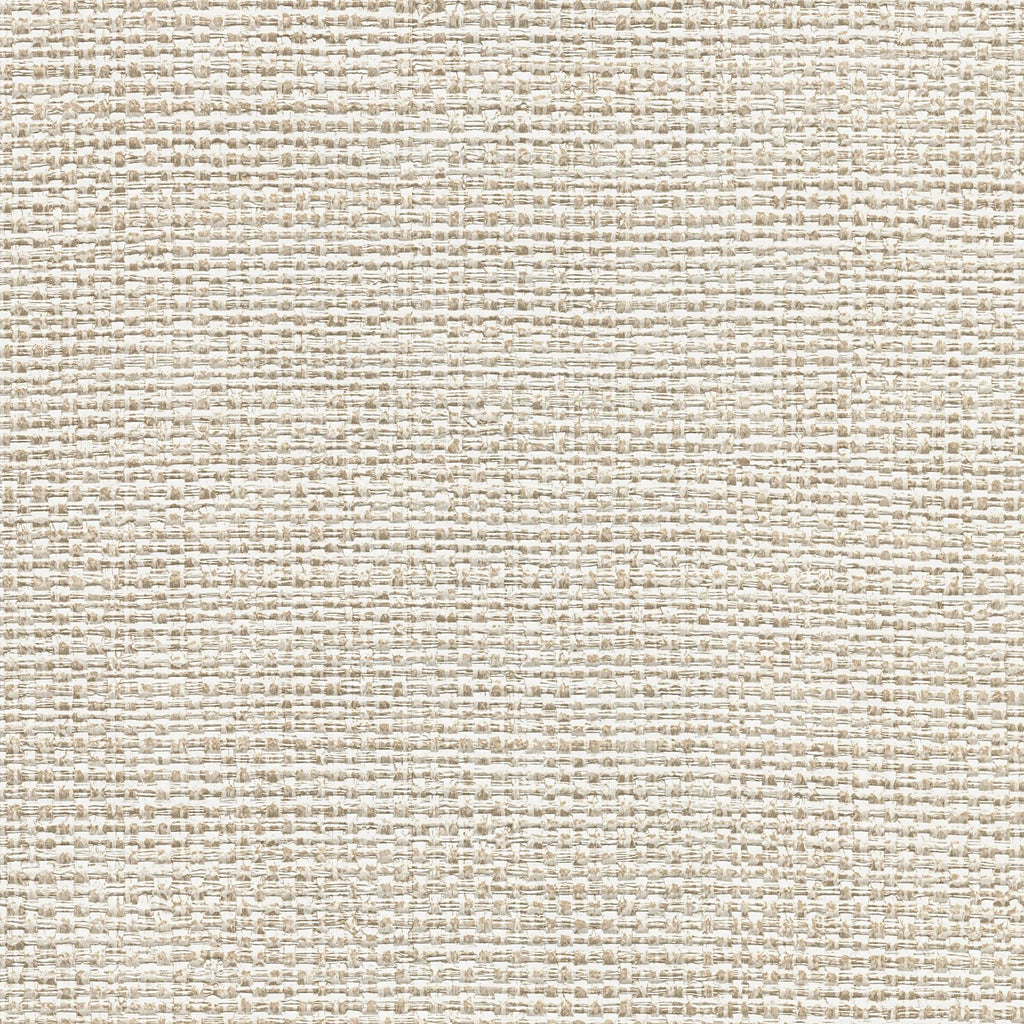 Brewster Home Fashions Caviar Basketweave Platinum Wallpaper