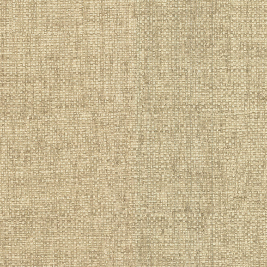 Brewster Home Fashions Caviar Basketweave Beige Wallpaper