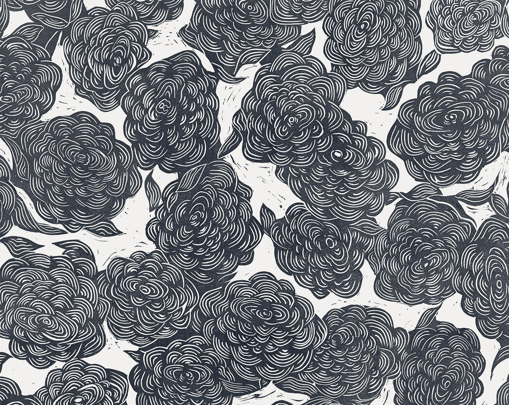 Brewster Home Fashions Roses Black Wall Mural Blacks Wallpaper