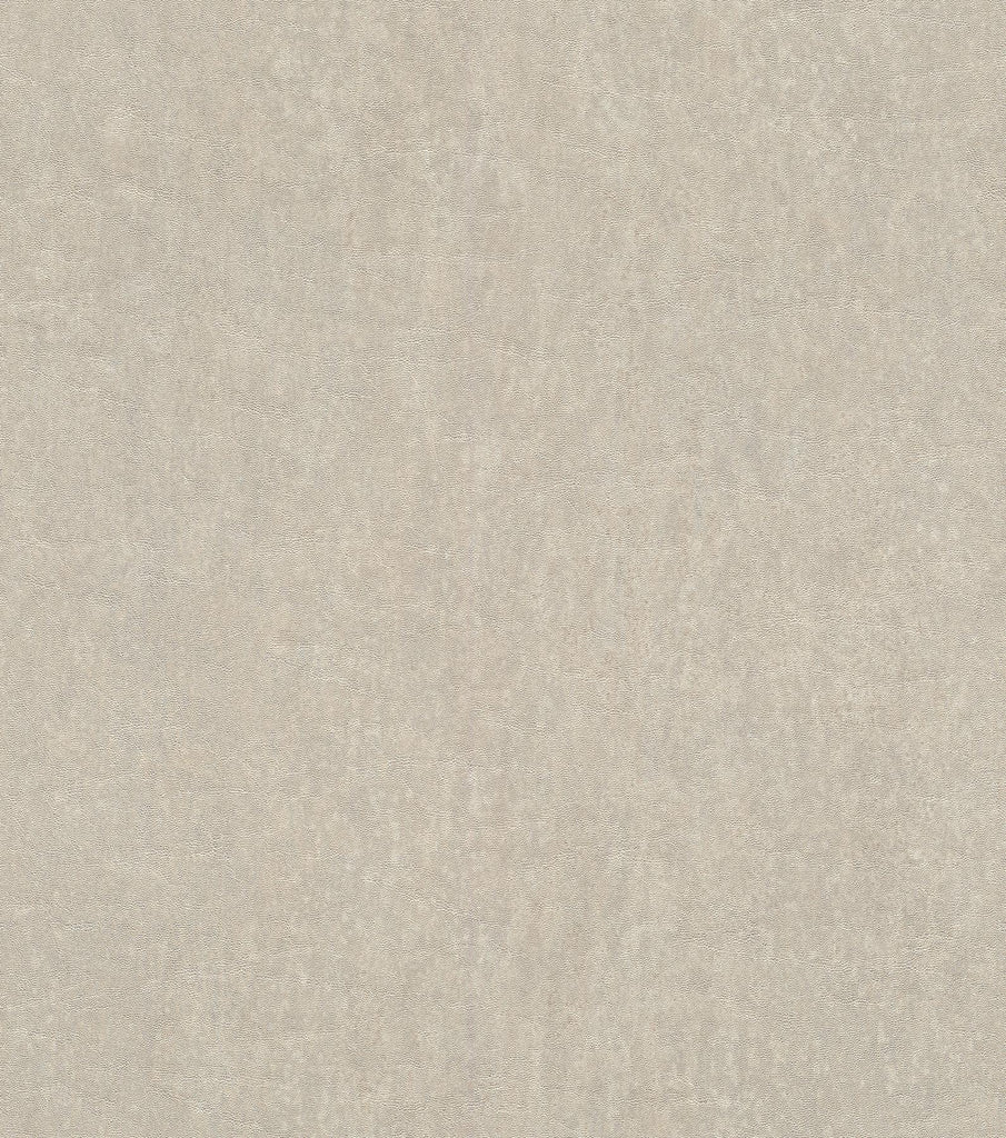 Brewster Home Fashions Segwick Speckled Texture Taupe Wallpaper