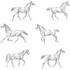 Brewster Home Fashions Esta Home Design Department Burnett Horses Off-White Wallpaper