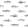 Brewster Home Fashions Esta Home Design Department Fiyero Fish Off-White Wallpaper