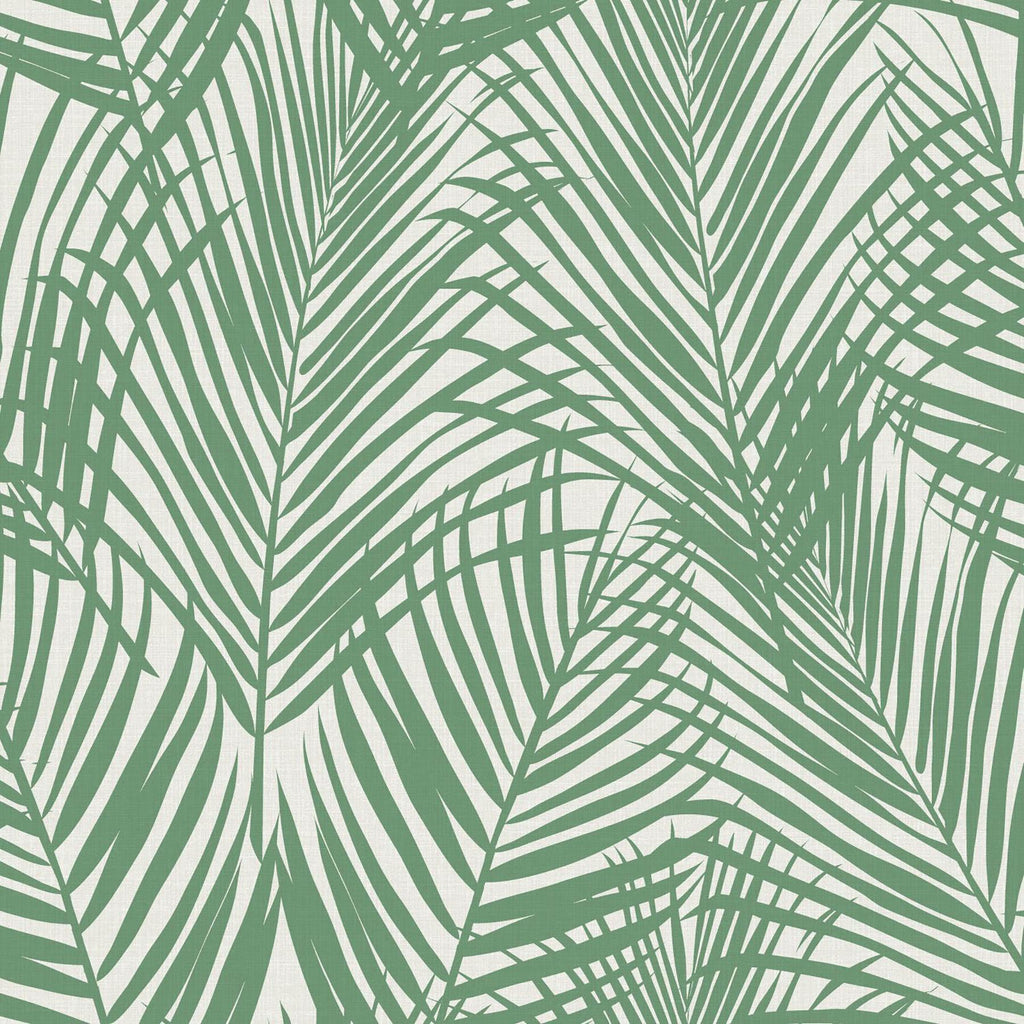 Brewster Home Fashions Fifi Green Palm Frond Wallpaper