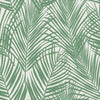 Brewster Home Fashions Esta Home Design Department Fifi Palm Frond Green Wallpaper