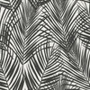 Brewster Home Fashions Esta Home Design Department Fifi Palm Frond Black Wallpaper