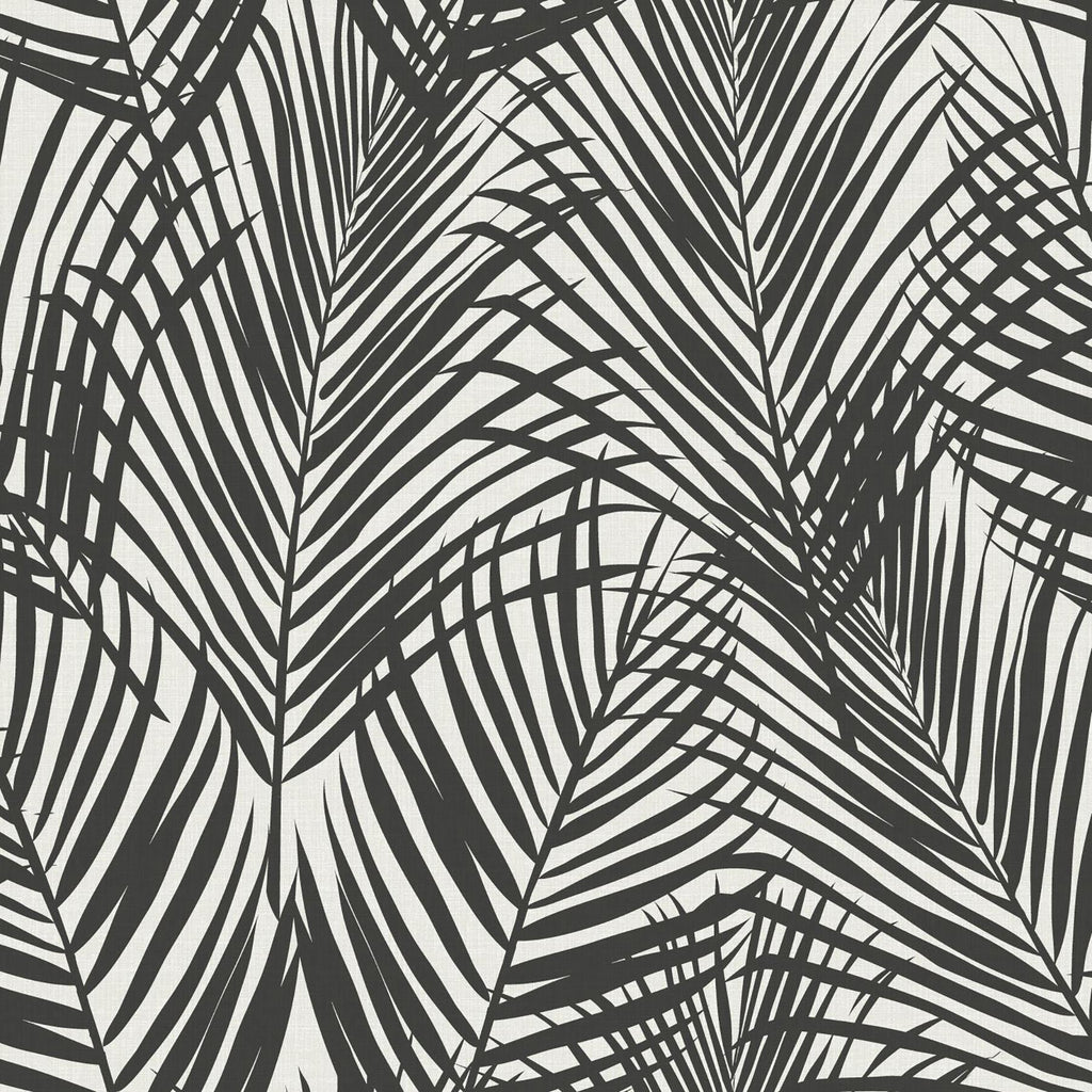 Brewster Home Fashions Fifi Palm Frond Black Wallpaper