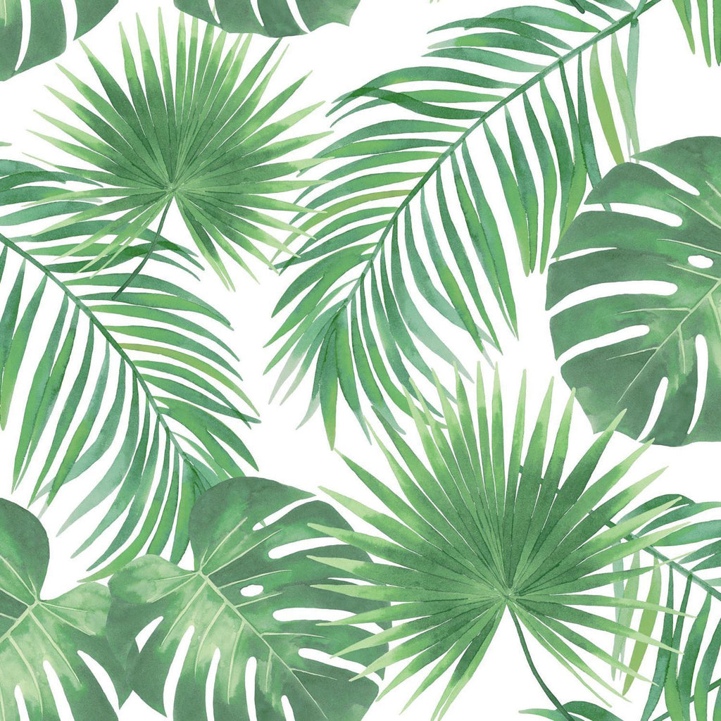 Brewster Home Fashions Patti Light Green Leaves Wallpaper