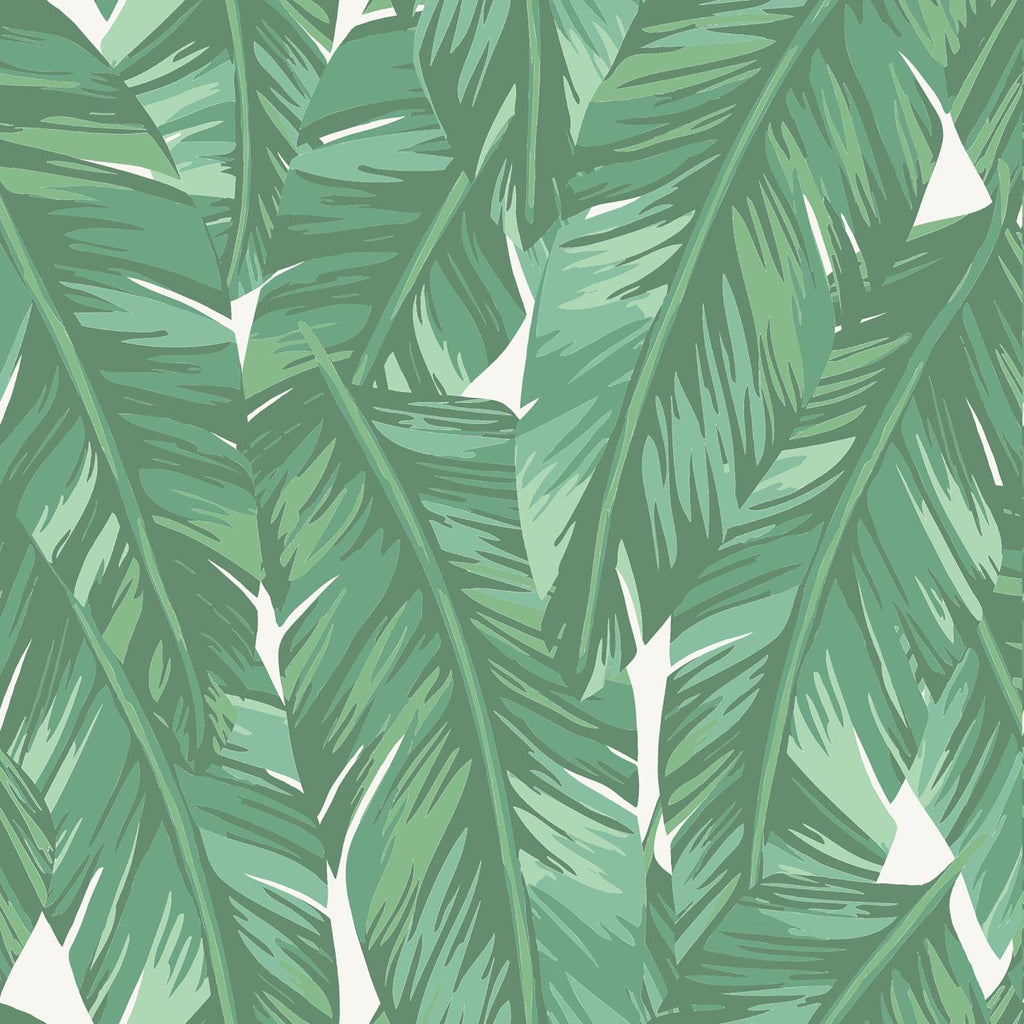 Brewster Home Fashions Dumott Green Tropical Leaves Wallpaper