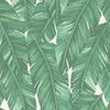 Brewster Home Fashions Esta Home Design Department Dumott Tropical Leaves Green Wallpaper