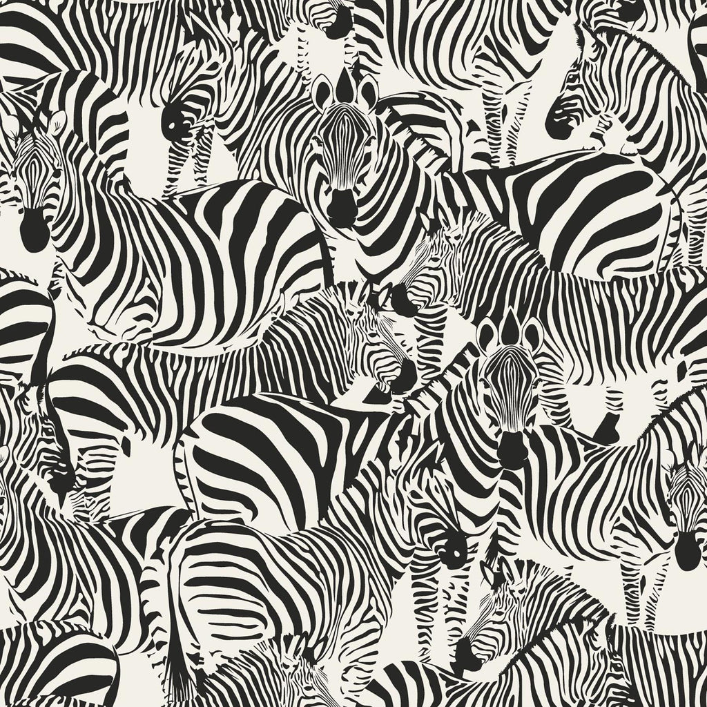 Brewster Home Fashions Jemima Black Zebra Wallpaper